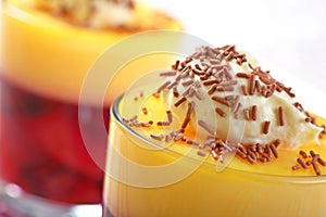 Fruit trifle photo