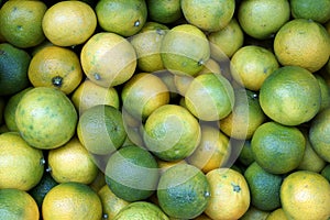 Fruit, unripe organic clementines