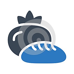 Fruit vector glyph color icon