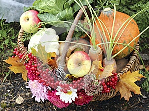 Fruit and vegetable in basket