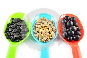Fruit and vegetable seed