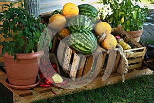 Fruit and vegetable stall at market