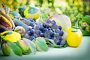 Fruit and vegetable in summer