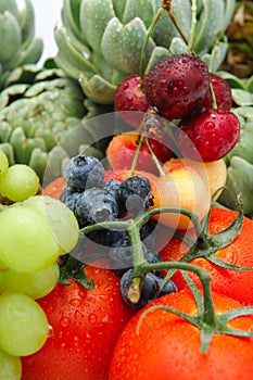 Fruit and Vegetables
