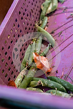 Fruit and vegetables in baskets at the farmers market