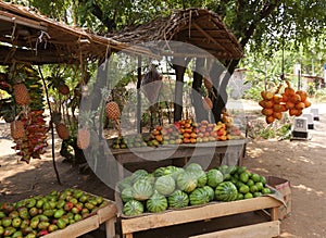 Fruit Vendor`s Stall in Sri Lanka with coconut,mango and waterme