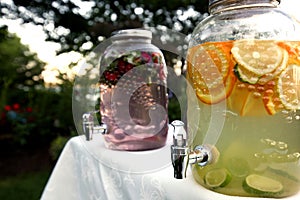 Fruit water containers