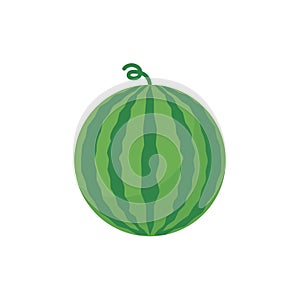 fruit water melone cartoon vector isolated object