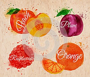 Fruit watercolor peach, raspberry, plum, orange in