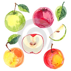 Fruit watercolor sketch of food. Apples painted with watercolors on white paper. Red apple, green apple, leaf, half an
