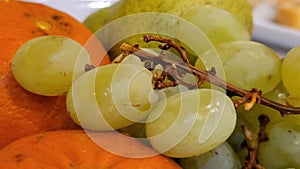 Fruit wit diferent color daylight.