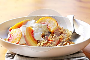 Fruit Yoghurt and Muesli