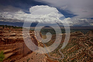 Fruita Canyon Thunder