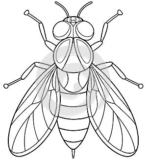 Fruitfly coloring fun for insect learning