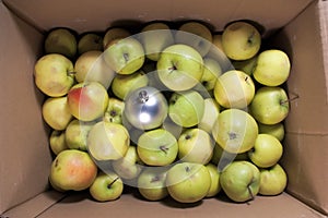 Fruitful new year in a cardboard