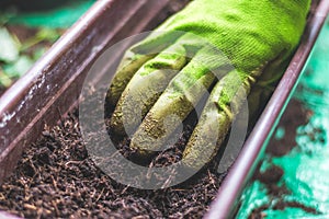 Fruitful soil for urban gardening, close up