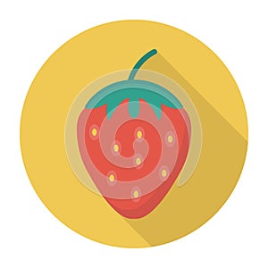 Fruit vector color flat icon