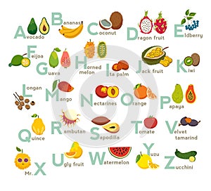 Fruits abc vector set. Exotic tropical fruits, vegetable alphabet. Litchi, Mango, rambutan, dragon fruit.
