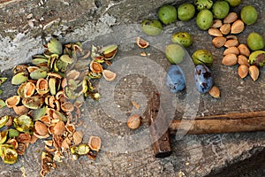 Fruits: almonds, plums, green wallnuts