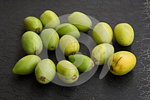 The fruits of the argan tree on a dark background top view close-up. Argania spinosa - Argana