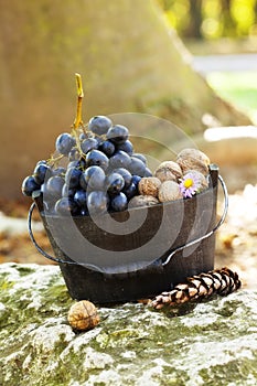 Fruits in a basket