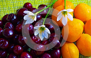 fruits berries cherries and apricots lie on a tablecloth decorated with flowers still life