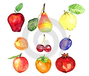 Fruits and berries collection, apple, pear, plum, apricot, cherry, peach, pomegranate, persimmon, quince
