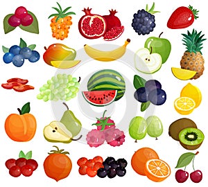 Fruits Berries Colorful Icons Collection