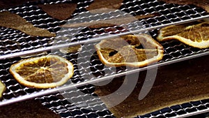 fruits and berries are dried on a baking sheet in a Dehydrator machine