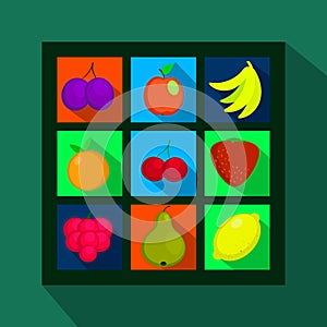 Fruits and berries flat icons with long shadow