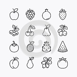 Fruits and berries line icons set. on a white background. Vector icon