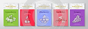 Fruits and Berries Pattern Label Templates Set. Vector Packaging Design Layout Collection. Modern Typography Banner with