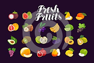 Fruits and berries, set of icons. Food, greengrocery, farm concept. Vector illustration