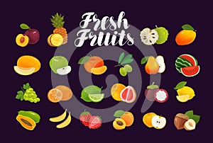 Fruits and berries, set of icons. Food, greengrocery, farm concept. Vector illustration photo