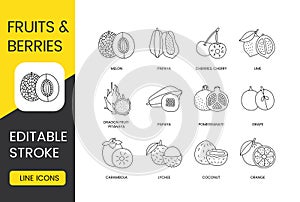 Fruits and berries whole and sliced, vector line icon set, editable stroke. Orange and coconut, lychee and carambola