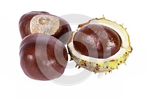 Fruits of chestnuts in green shell isolated on white background