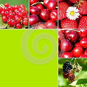 Fruits collage