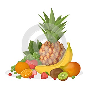 Fruits composition illustration.