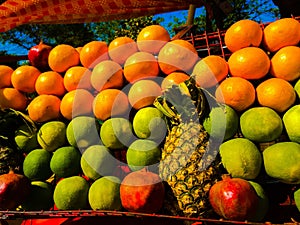Fruits on display photo