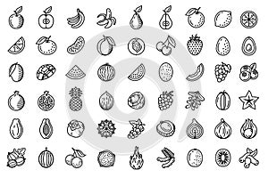 Fruits, exotic fruits and berries icon set. Vector isolated icons. Vintage engraving style. Black on white.