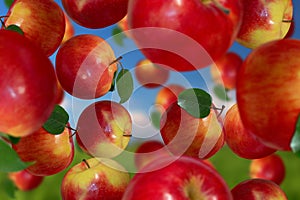 Fruits falling down on sky background