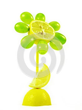 Fruits flower on white