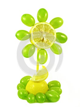 Fruits flower on white