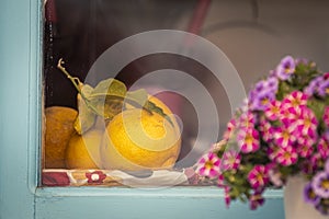 Fruits and flowers on window