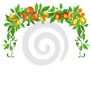 Fruits frame