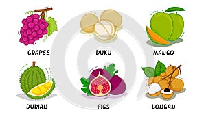 Fruits, Fruits Collection, Grapes, Duku, Mango, Durian, Figs, Longan