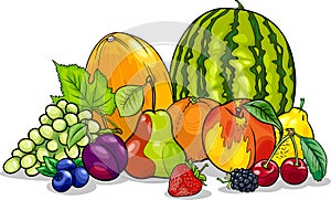 Fruits group cartoon illustration