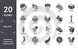 fruits icon set. include creative elements as watermelon, chestnut, beetroot, basil, potato, horseradish filled icons can be used