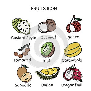 Fruits icon vector illustration set 3