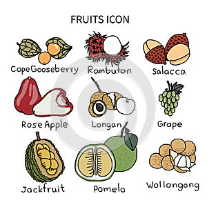 Fruits icon vector illustration set 5